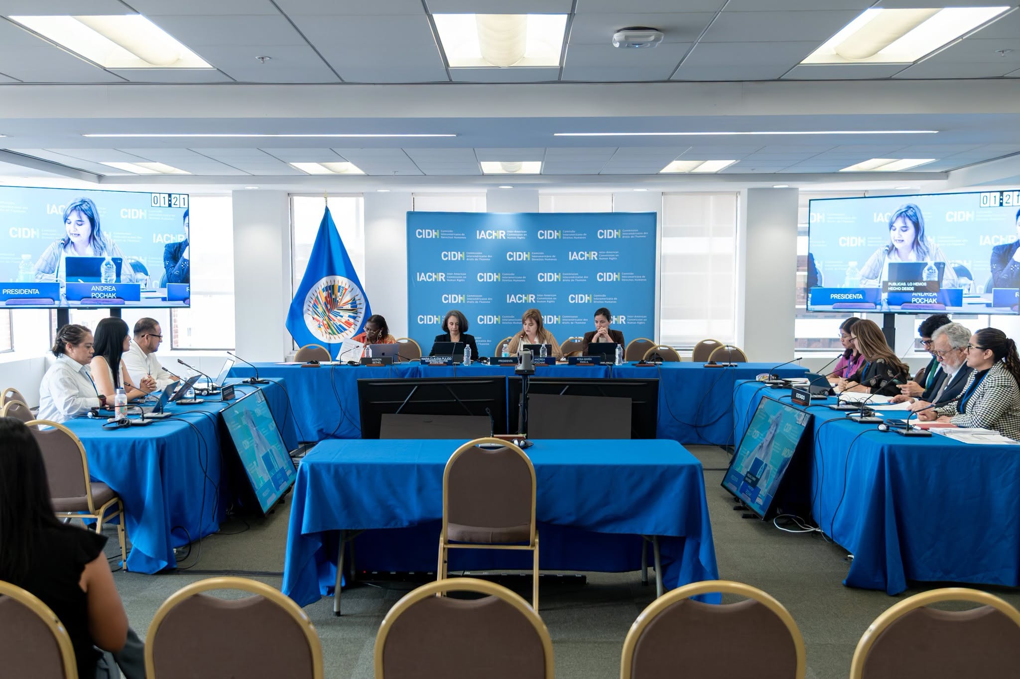 Fuente: CIDH.
