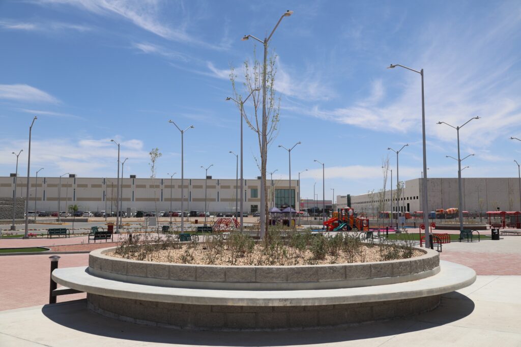 Árboles, palmeras y arbustos que se aprecian en el parque. Fotografías: Miguel Silerio / La Verdad Juárez