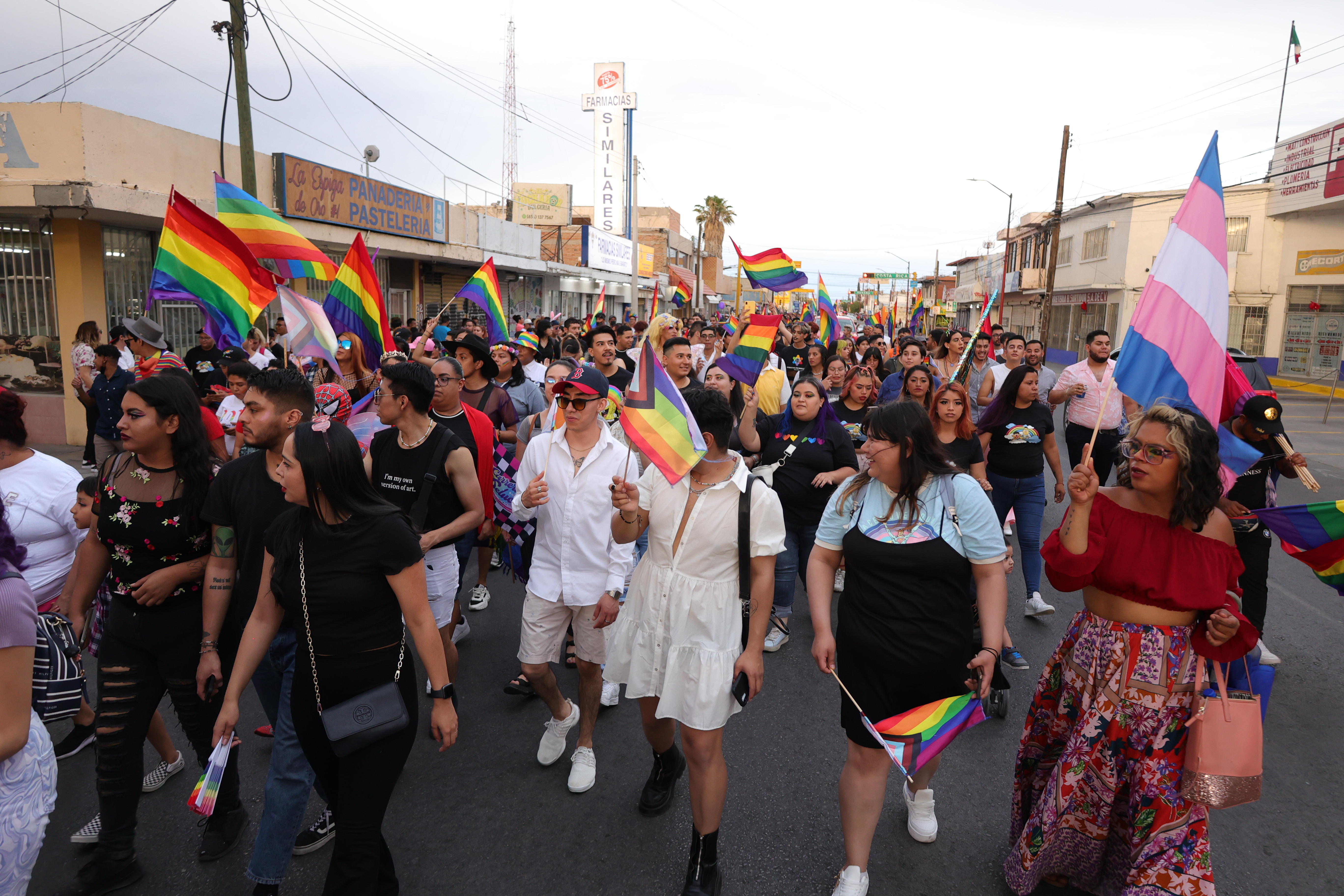 Buscan a voluntarios para Marcha de las Diversidades Afectivo Sexuales