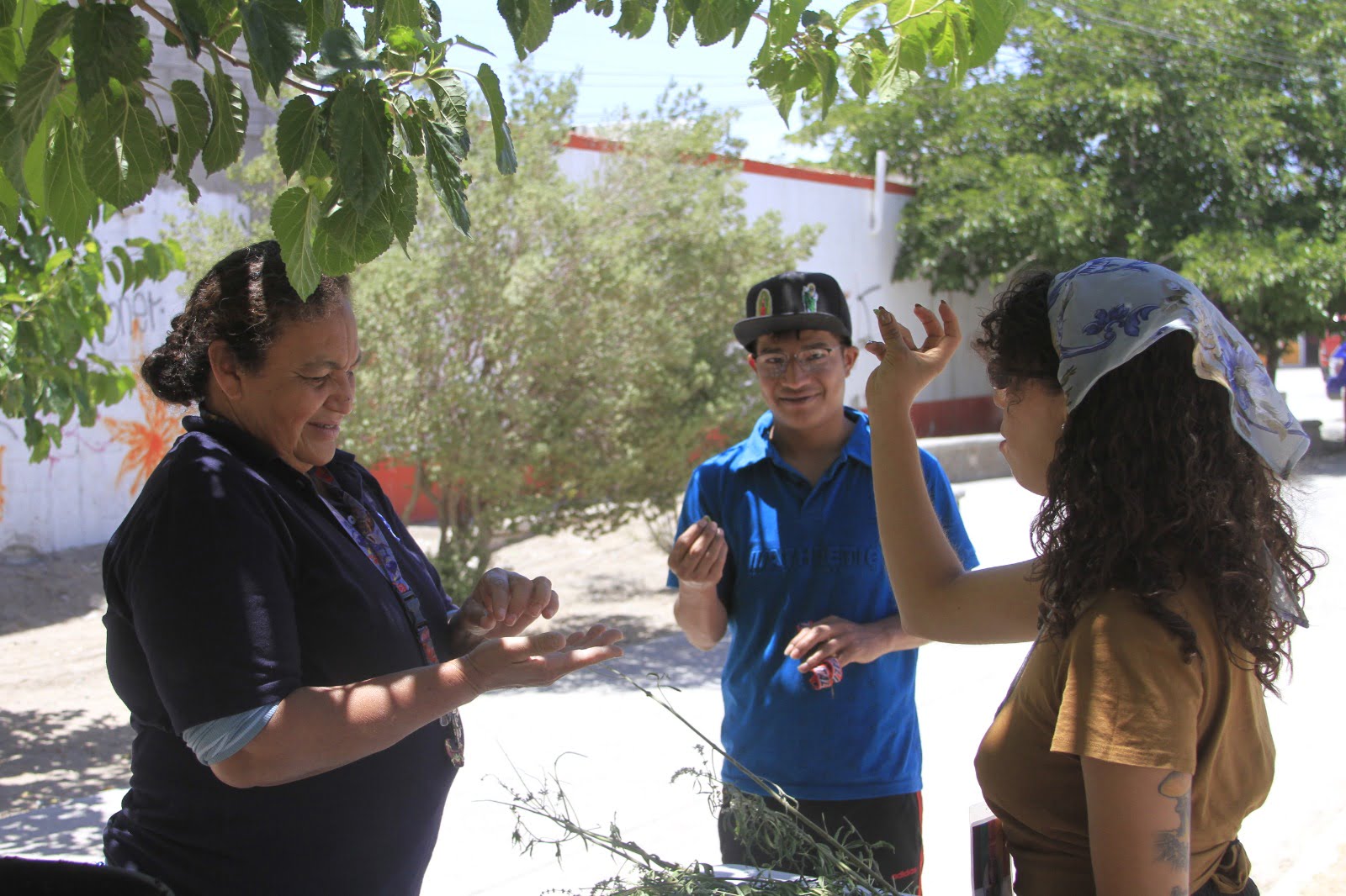Destacan bondades del palo verde en talleres de 5 minutos