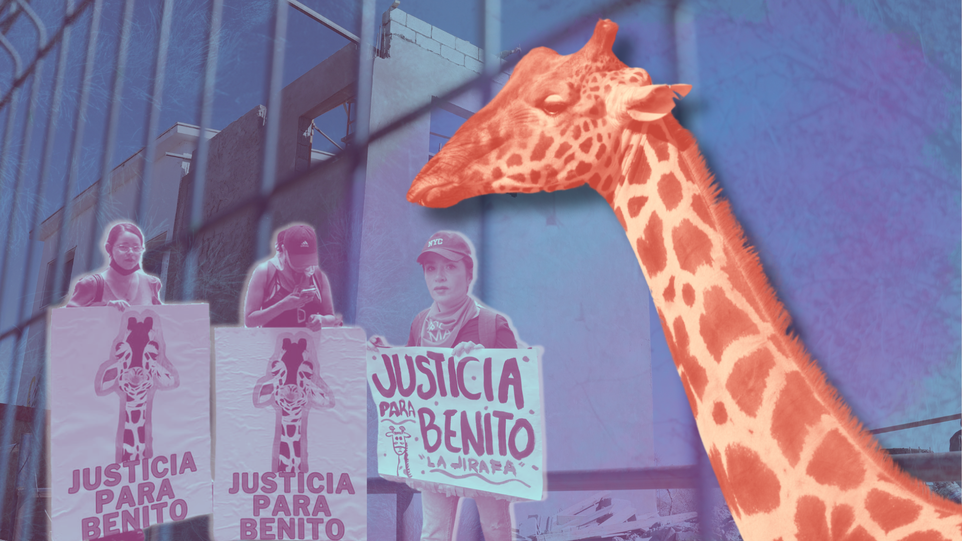 El tiempo les dio la razón: así fue la lucha ciudadana para salvar a Benito