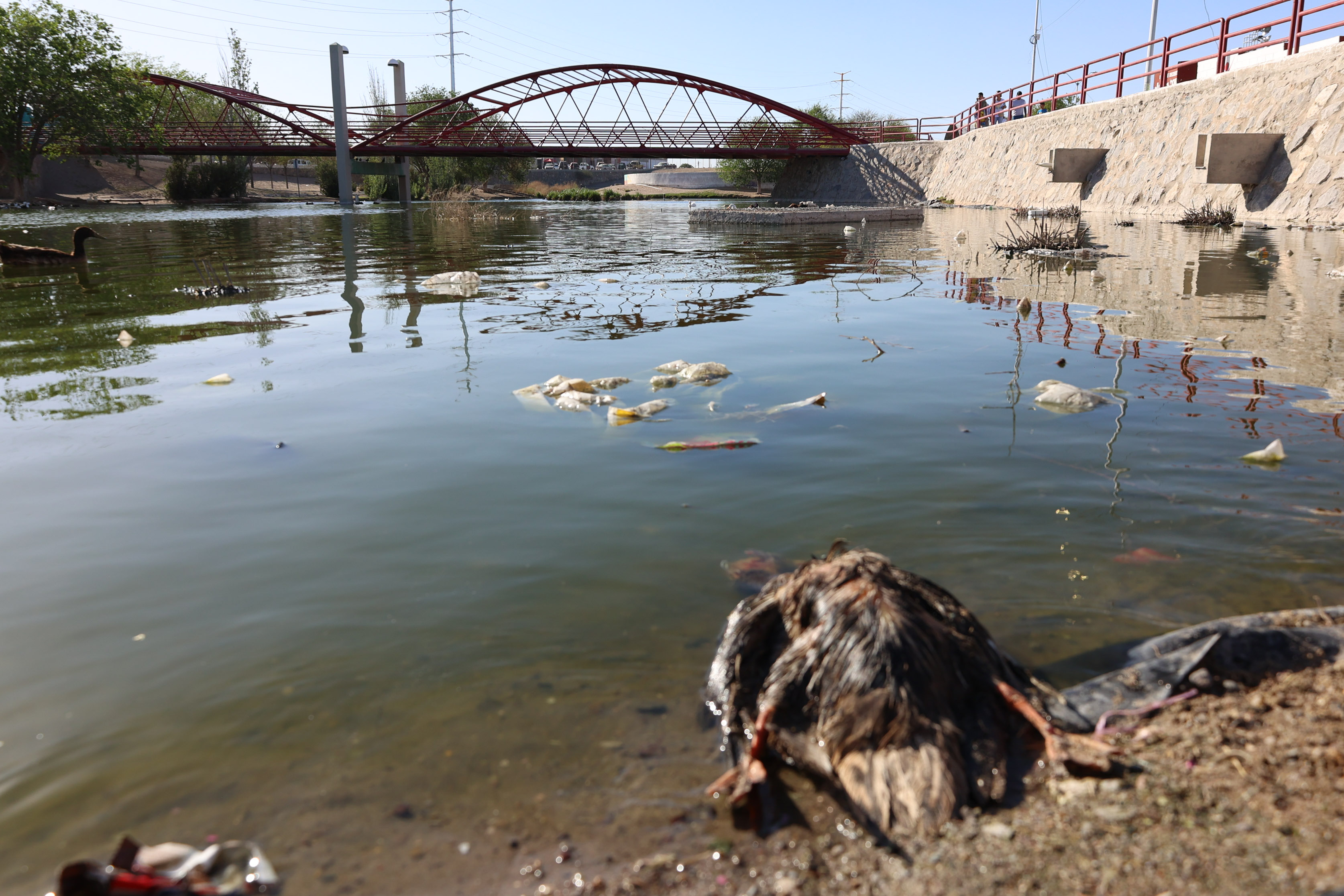 Parque Oriente: sucio, inseguro y abandonado por la autoridad