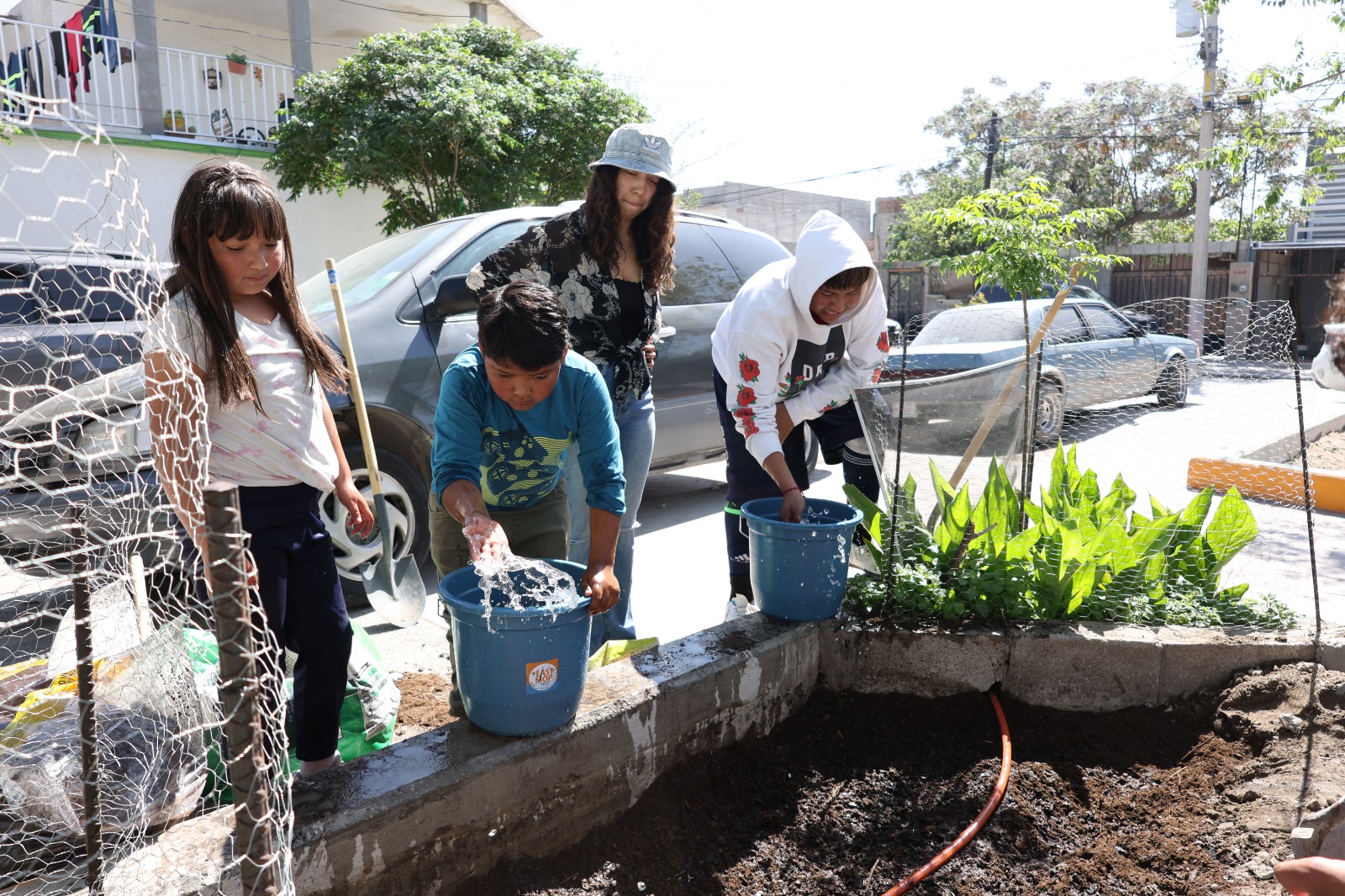 Se unen para crear huerto comunitario en la colonia Manuel J. Clouthier