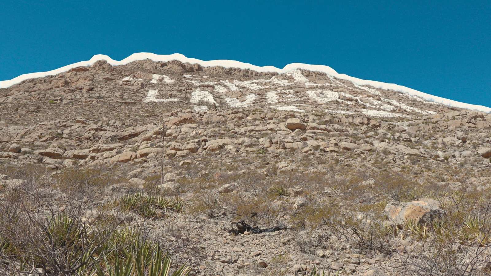Sierra de Juárez: un ecosistema desprotegido por la autoridad