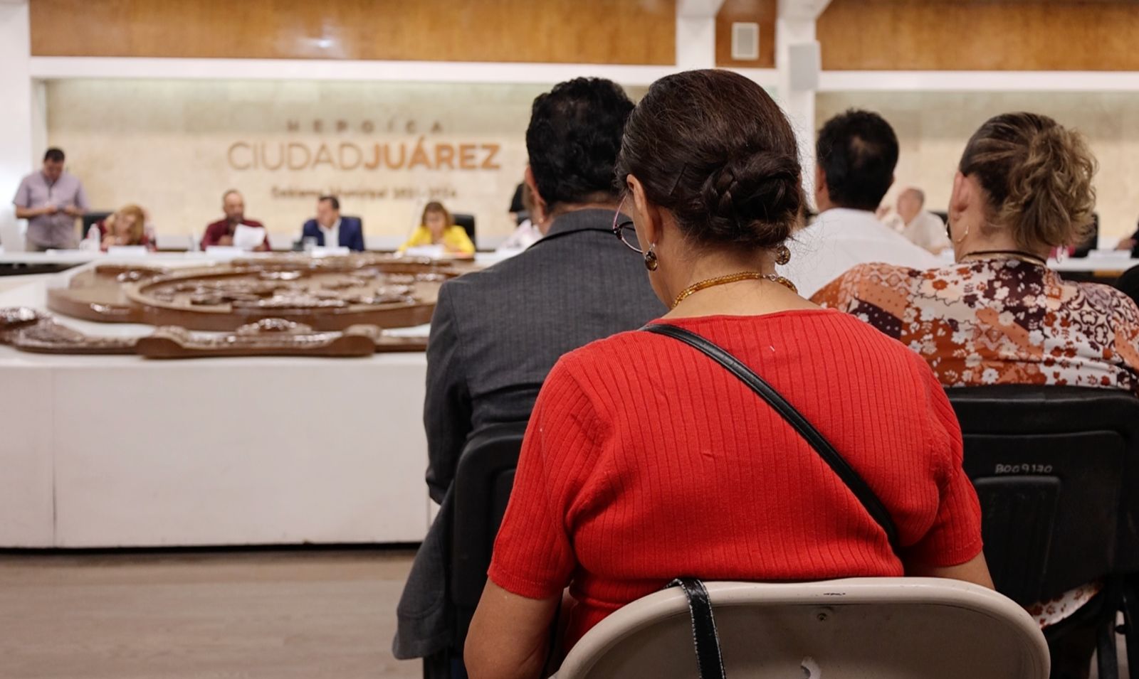 Impidieron participación de académica previo a votación de PDUS ‘por instrucción del presidente’