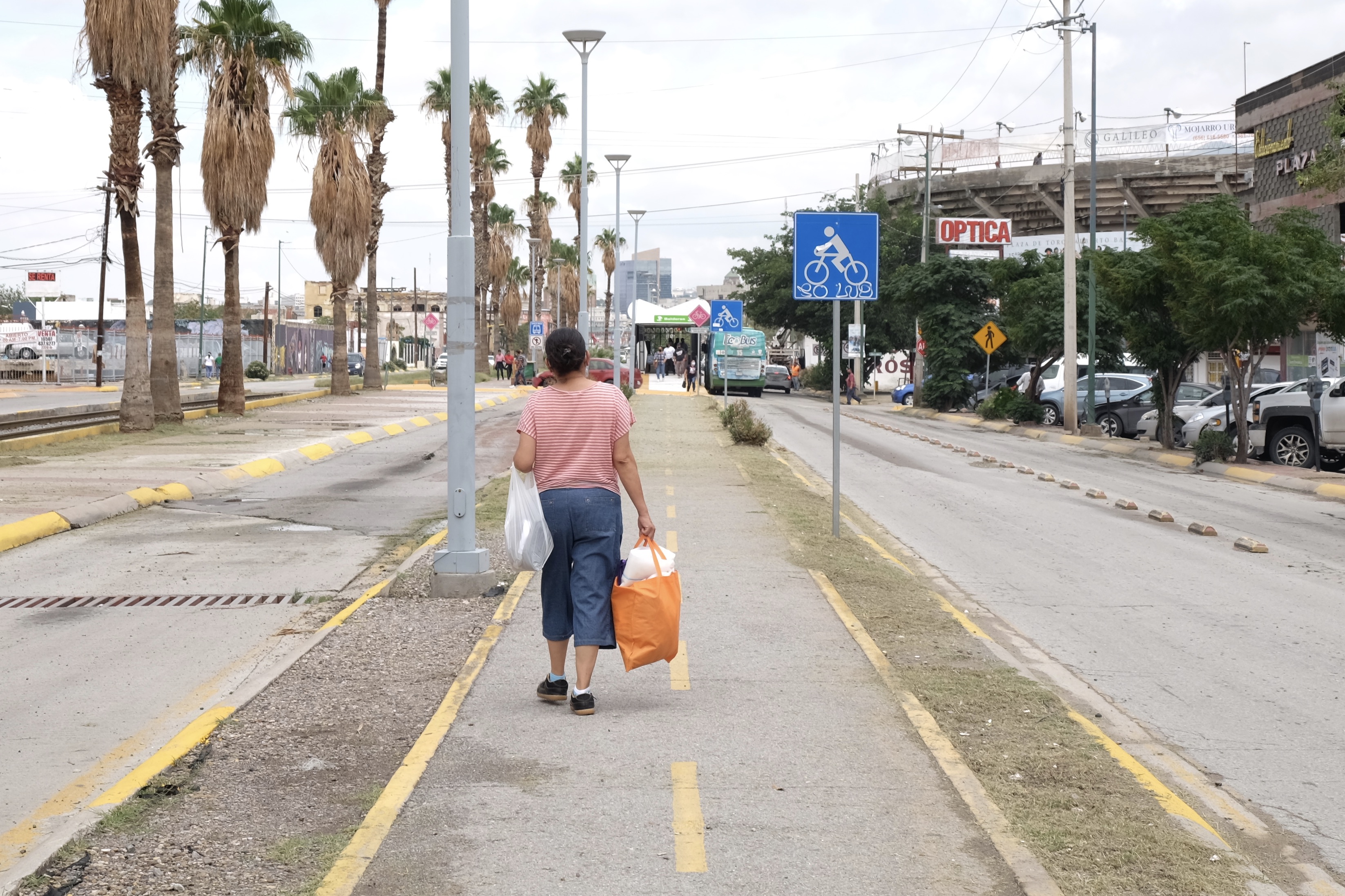 Piden adoptar conmemoración de día mundial del peatón, de la bicicleta y sin auto