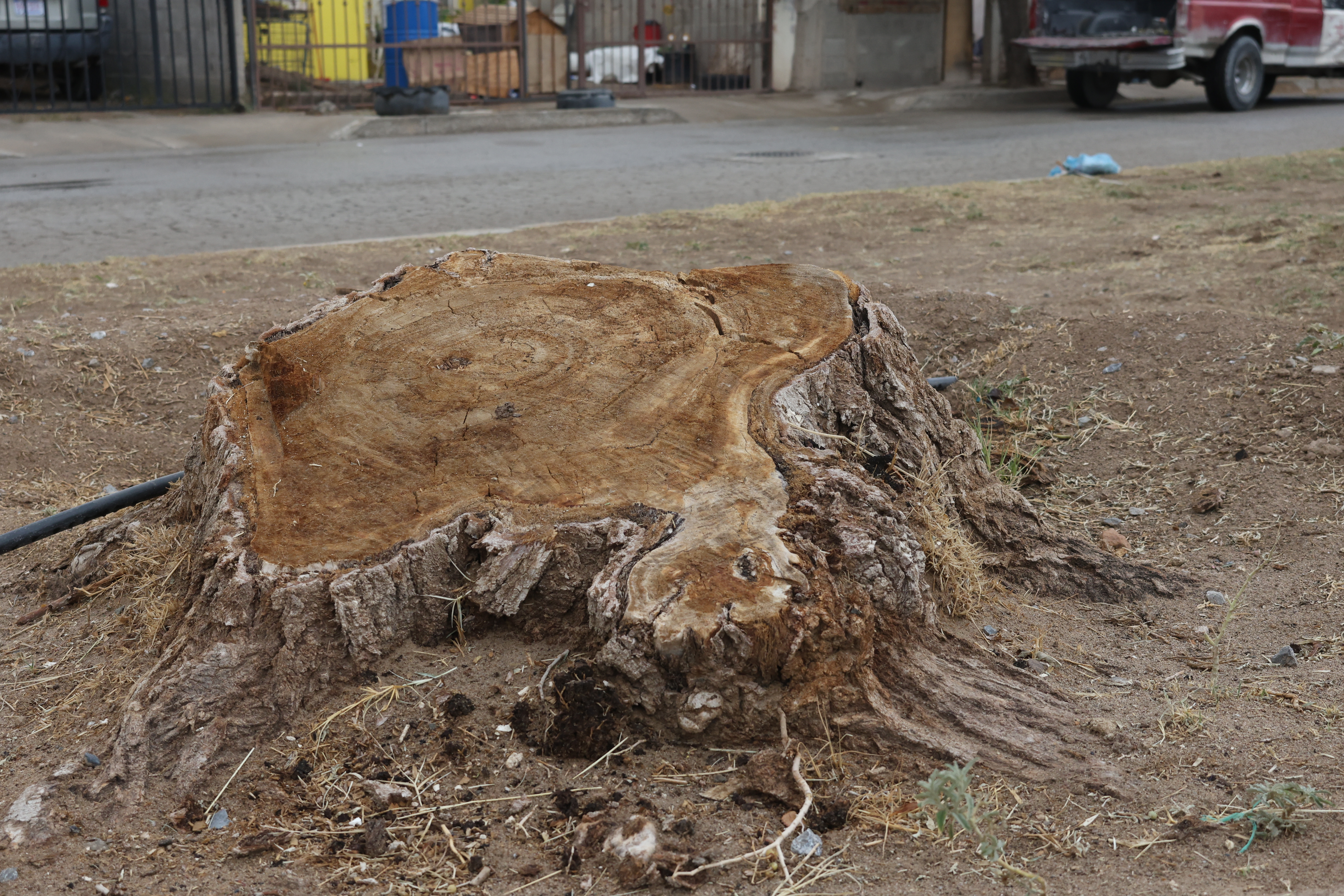 Burocracia y falta de línea morada secan parques en el suroriente de Juárez