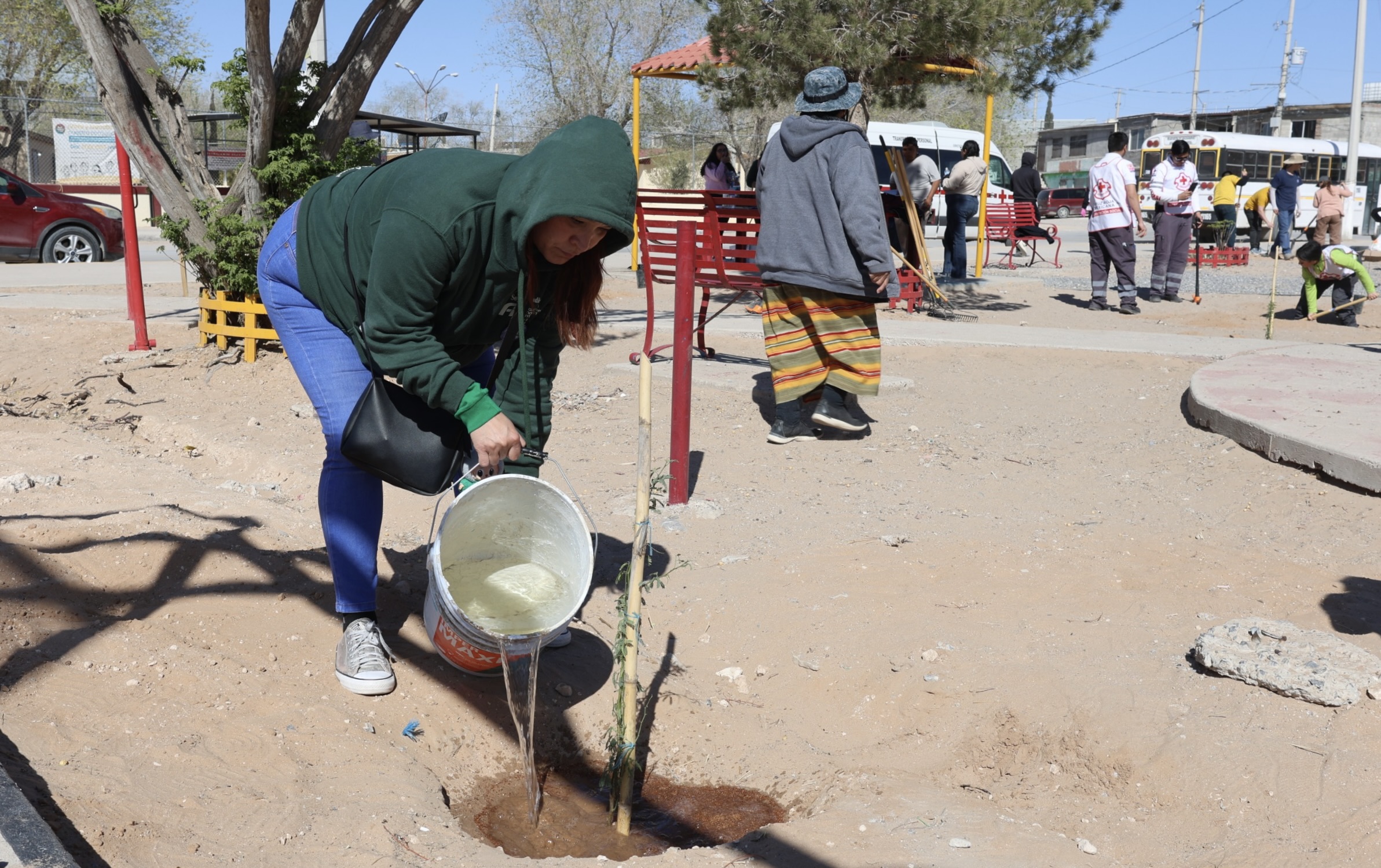 Voluntarios reforestan parque de la colonia Sor Juana Inés de la Cruz