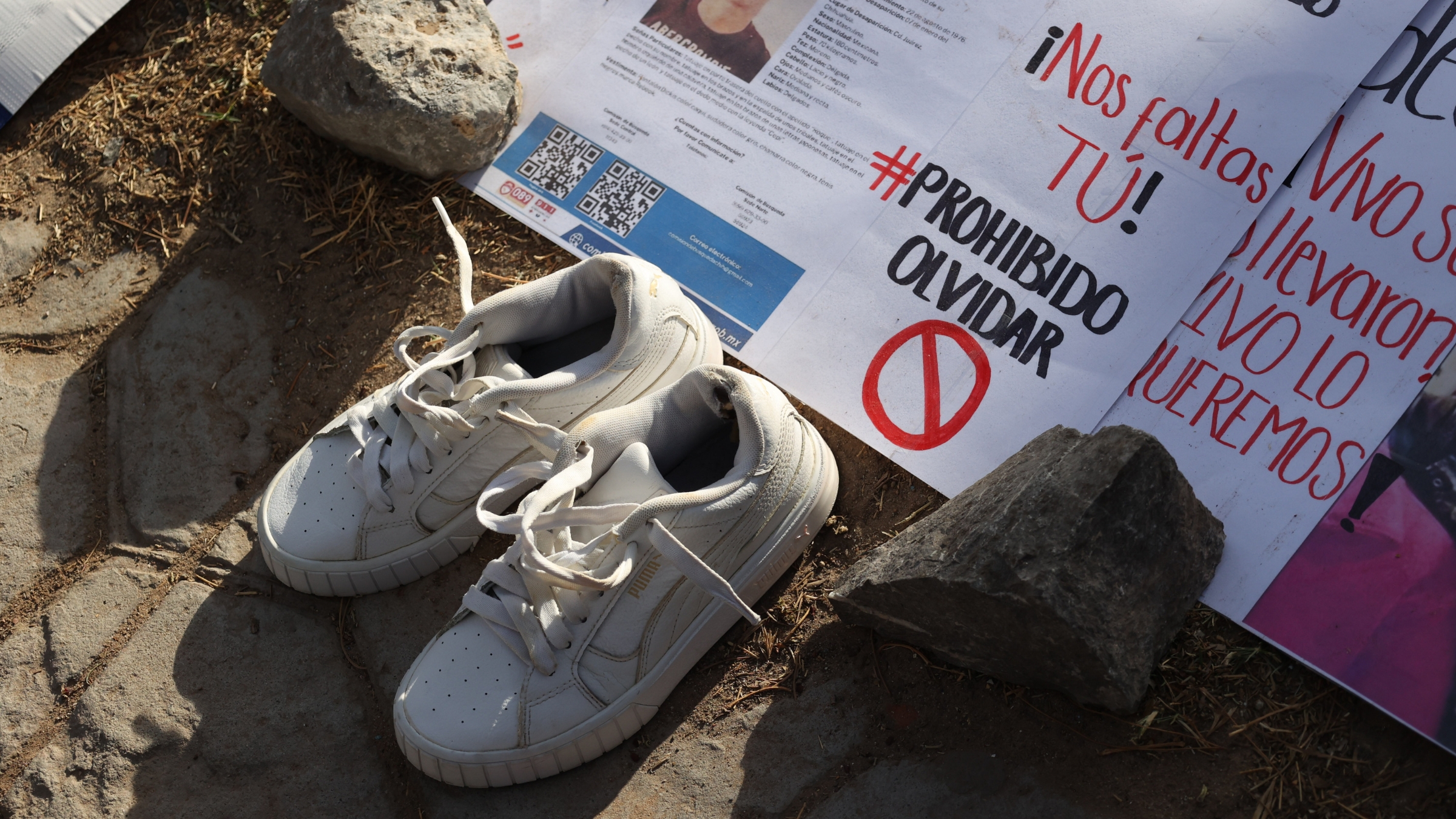 La desaparición forzada no puede negarse: colectivos y organizaciones rechazan postura de Senado