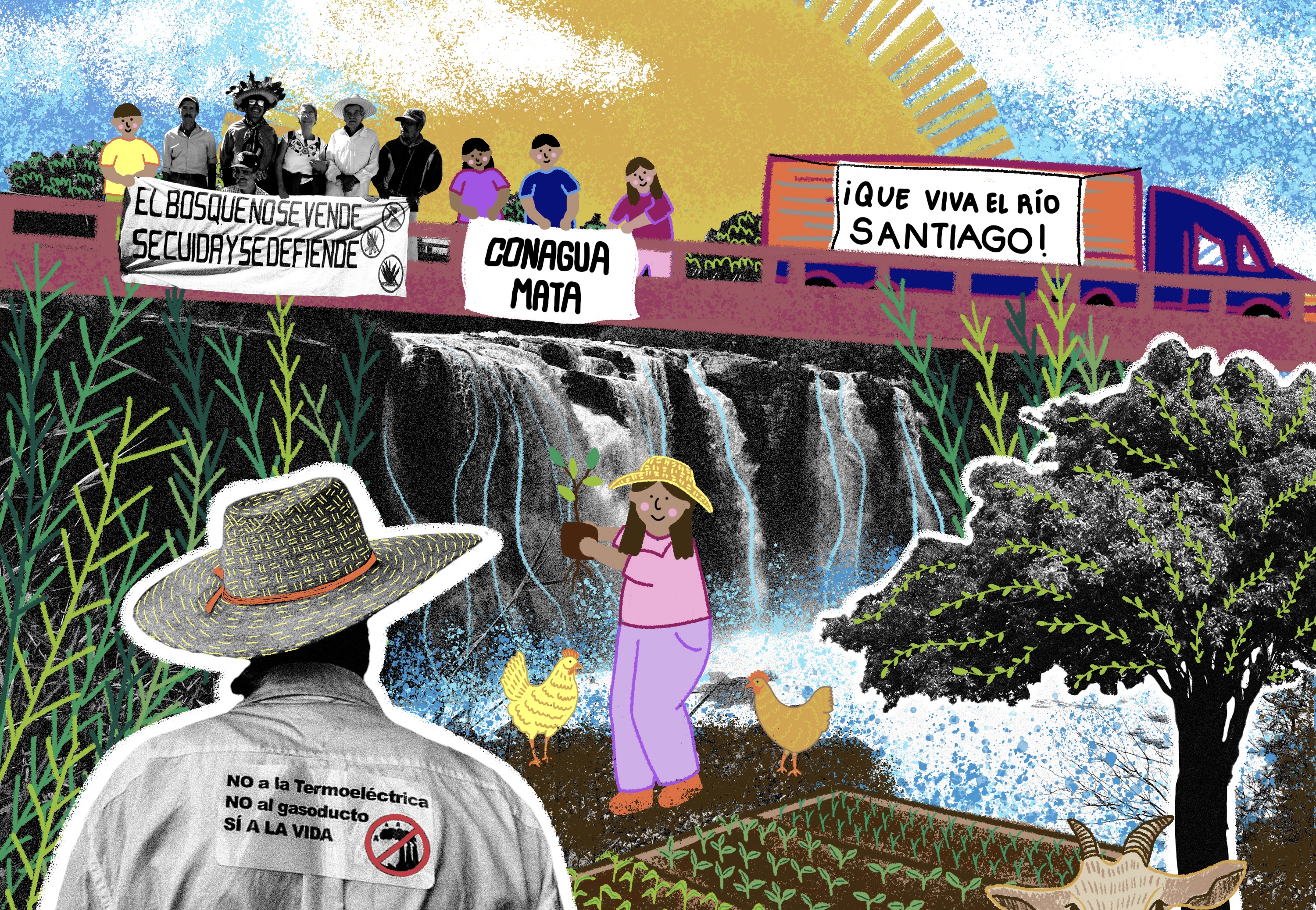 Jalisco: Un vivero comunitario para defender el río y la vida