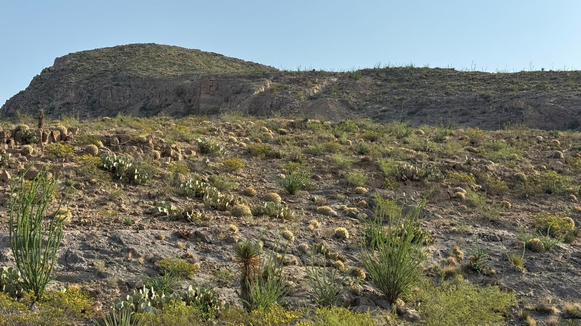 Invitan ambientalistas a conocer este viernes la Sierra de Juárez
