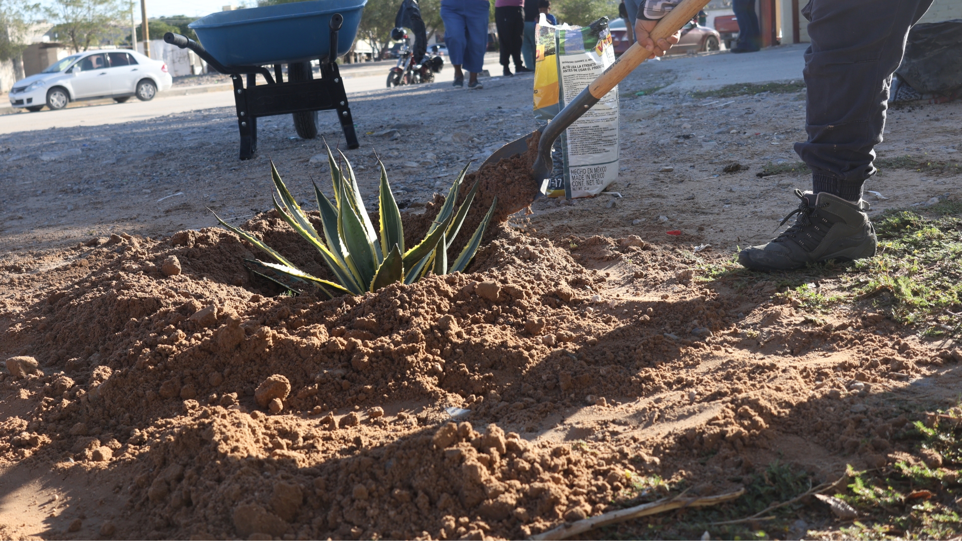 “El reto no es plantar, sino mantener”: familias del suroriente reforestan su parque 