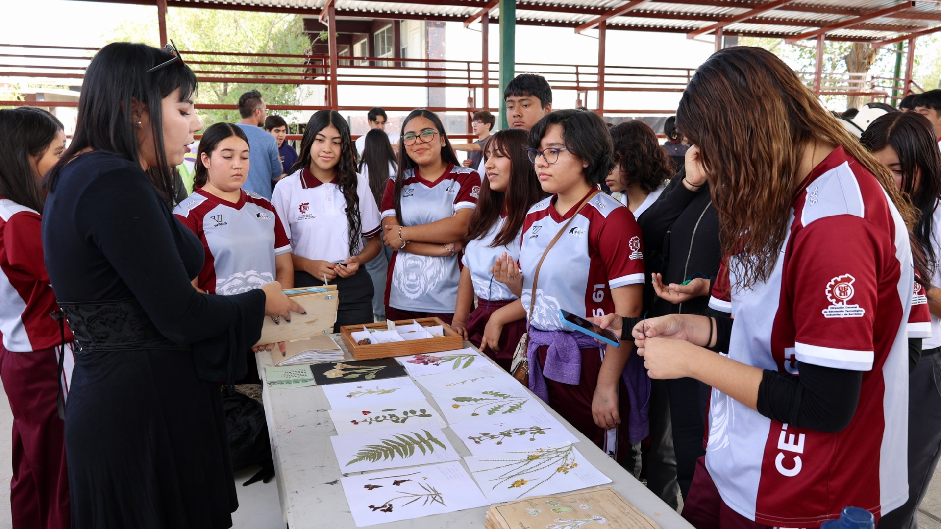 Promueven la divulgación científica y la educación ambiental en Festival Mezquite